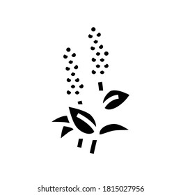 patchouli flowers aromatherapy glyph icon vector. patchouli flowers aromatherapy sign. isolated contour symbol black illustration