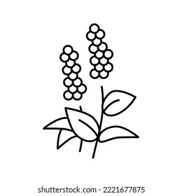 patchouli flowers aromatherapy line icon vector. patchouli flowers aromatherapy sign. isolated contour symbol black illustration