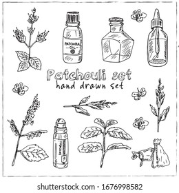 Patchouli hand drawn set Vector illustration