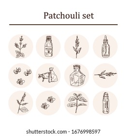 Patchouli hand drawn set Vector illustration