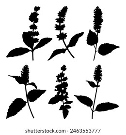 Patchouli leaves and flowers silhouette stencil templates