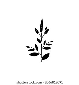 Patchouli сolor line icon. Essential oils. Pictogram for web page, mobile app, promo. UI UX GUI design element. Editable stroke.