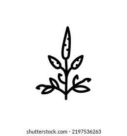 Patchouli сolor line icon. Pictogram for web page.