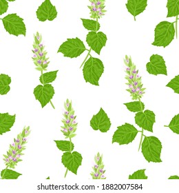 El patrón de la planta de Patchouli es transparente. Flores y hojas verdes aisladas en blanco. Fondo floral. Ilustración vectorial. Caricatura de estilo plano.