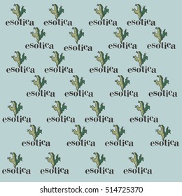 patern background prickly desert flower on a background of exotic