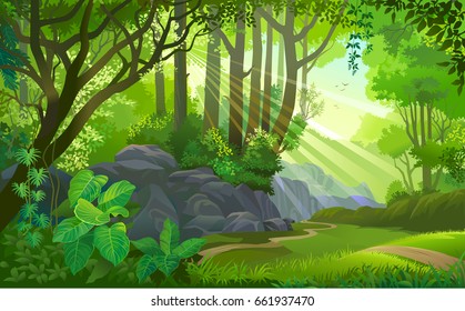 The path across a dense jungle with trees, grass, boulders, dirt, bushes and plants