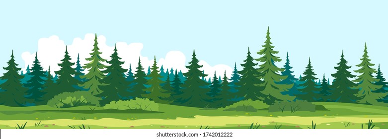 Path along spruce forest with big green trees, tourist route near the dense spruce forest and bushes in summer sunny day nature illustration background