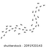 A path of ants running up. View from above. Vector illustration in flat cartoon style