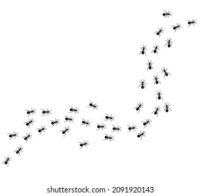 A path of ants running up. View from above. Vector illustration in flat cartoon style