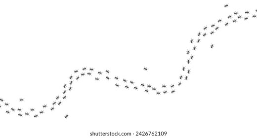 A path of ants running up vector isolated on white background.