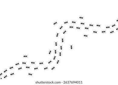 A path of ants running up vector isolated on white background.