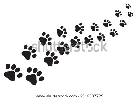 Path of cute paw prints on white background