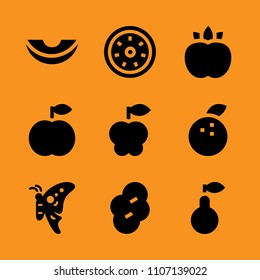 path, dieting, orange and design icon set. Vector illustration for web and design.