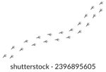 Path footprints of crow, raven, magpie, sparrow, dove, bird. Crow paw print, silhouette. Diagonal track. Vector isolated. For pet shop, textile, print textile web design postcard brochure banner
