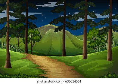 Path into the night forest