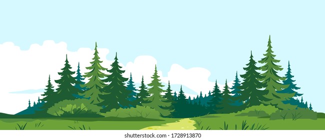 Path through the forest with big green spruce trees in front view, tourist route through the dense spruce forest and bushes in summer sunny day nature illustration background