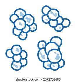 Pathogen Bacterium sketch icon vector. Hand drawn blue doodle line art isolated symbol illustration