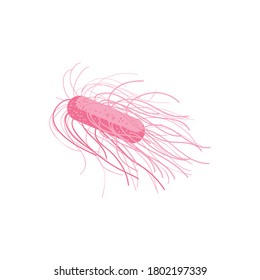 Pathogen flagellum bacteria microorganism. Bacterial germ, virus, epidemic pathogenic cell, protozoa, disease causing object, medical healthcare vector illustration isolated on white background
