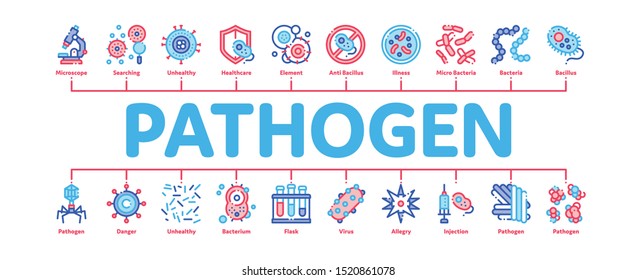 Pathogen Minimal Infographic Web Banner Vector. Pathogen Bacteria Microorganism, Microbes And Germs Linear Pictograms. Analysis In Flask, Microscope And Injection Contour Illustrations