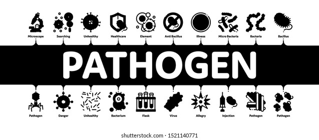Pathogen Minimal Infographic Web Banner Vector. Pathogen Bacteria Microorganism, Microbes And Germs Linear Pictograms. Analysis In Flask, Microscope And Injection Contour Illustrations