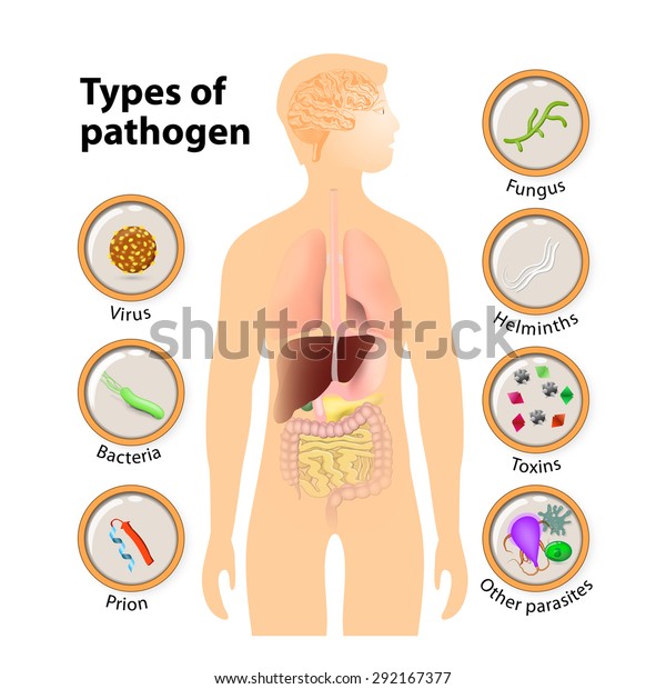 Imagen de pathegon infectando el cuerpo humano