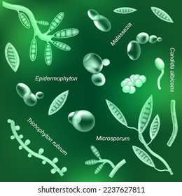 Pathogenic fungi with glowing effect on green background. pattern of Dangerous pathogen. Yeast that cause of infectious disease or illness. saprophytes. Vector