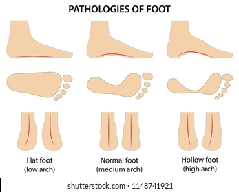 Anatomic Pathology Images, Stock Photos & Vectors | Shutterstock