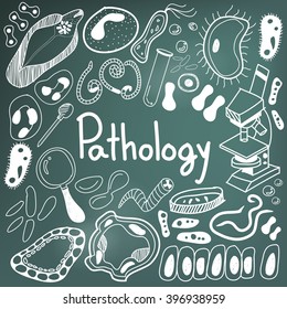 Pathology biology doodle handwriting icons of germ and pathogen for human disease such as virus, bacteria, fungus, amoeba, and Protozoa in blackboard background for education title (vector)
