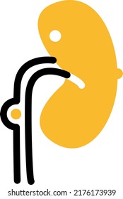 Pathology doctor, illustration, vector on a white background.