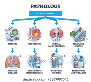 Pathology and study of diseases medical field classification outline diagram. Labeled educational scheme with etiology, pathogenesis, clinical manifestations and treatment options vector illustration