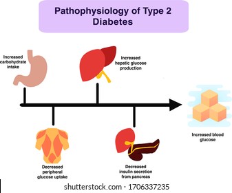 Fisiología patológica de la diabetes mellitus tipo 2