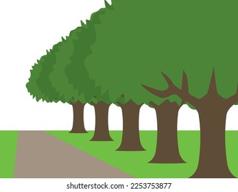 Pathway and green tree landscape