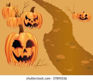 A pathway leads through a pumpkin patch filled with pumpkins and jack-O-lanterns.