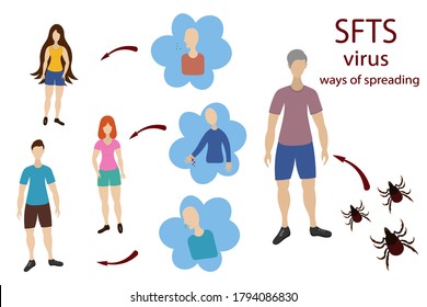 Las vías del virus SFTS se propagan de persona a persona a través de la sangre y las membranas mucosas. Ilustración vectorial. Fondo aislado. Enfermedad que provoca fiebre grave con síndrome de trombocitopenia.