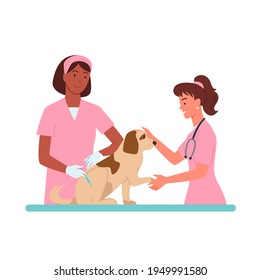 Patient dog appointments at veterinary clinic vector illustration Cartoon vet doctor women character in pink medical uniform working, holding dog domestic pet animal isolated on white.