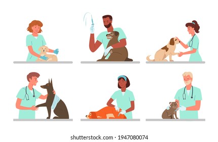 Patient dogs appointments at veterinary clinic, vet doctor working, holding sad doggy