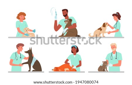 Patient dogs appointments at veterinary clinic, vet doctor working, holding sad doggy