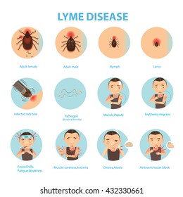 Patients lyme disease and ticks. vector illustration