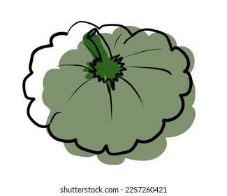 Patison aislado de fondo blanco. Ilustración del vector Doodle