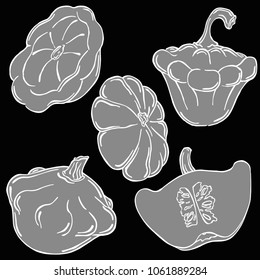 Patisson white line with background, vector