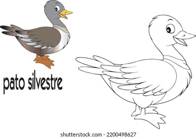 Pato Silvestre  Bird for children. Coloring book. Game for kids. Vector cartoon illustration