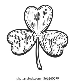 Patrick day good luck three leaf clover. Vintage hand drown color vector engraving illustration for info graphic, poster, web, mobile. Isolated on white background