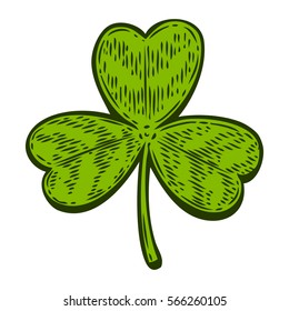 Patrick day good luck three leaf clover. Vintage hand drown color vector engraving illustration for info graphic, poster, web, mobile. Isolated on white background