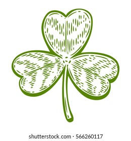 Patrick day good luck three leaf clover. Vintage hand drown color vector engraving illustration for info graphic, poster, web, mobile. Isolated on white background