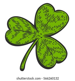 Patrick day good luck three leaf clover. Vintage hand drown color vector engraving illustration for info graphic, poster, web, mobile. Isolated on white background