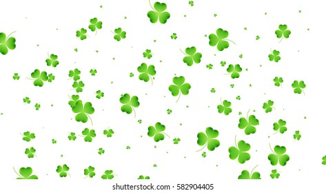 Patricks Day banner. Clover flying leaves background. Three leaf clover leaves.