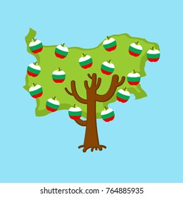 Patriotic apple tree Bulgaria map. apples Bulgarian flag. National State Plant. Vector illustration