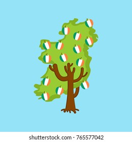 Patriotic apple tree Ireland map. apples Irish flag. National State Plant. Vector illustration