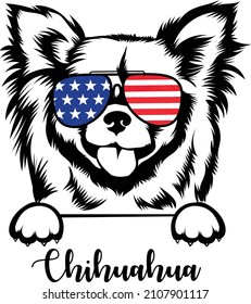 Patriotic Chihuahua In Sunglasses Usa Flag Vector Image 