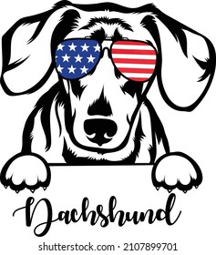 Patriotic Dachshund Dog In Sunglasses Usa Flag Vector Image